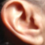 ear